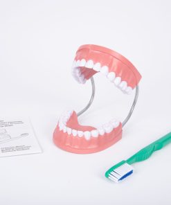 Mulaj Igiena dentara 24