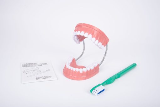 Mulaj Igiena dentara 13