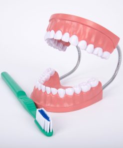 Mulaj Igiena dentara 25