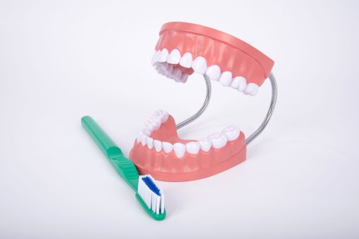 Mulaj Igiena dentara 14