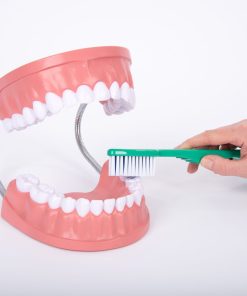 Mulaj Igiena dentara 19