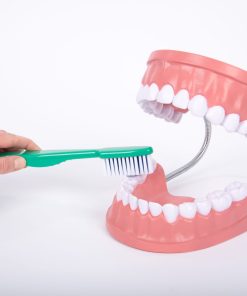 Mulaj Igiena dentara 22