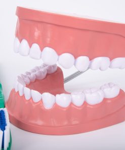 Mulaj Igiena dentara 21