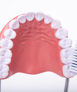 Mulaj Igiena dentara 20