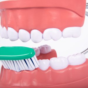 Mulaj Igiena dentara 21