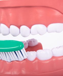 Mulaj Igiena dentara 23