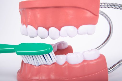 Mulaj Igiena dentara 12