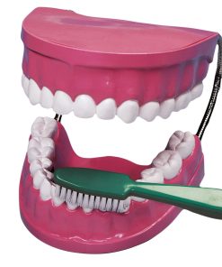 Mulaj Igiena dentara 18