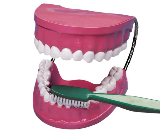Mulaj Igiena dentara 7