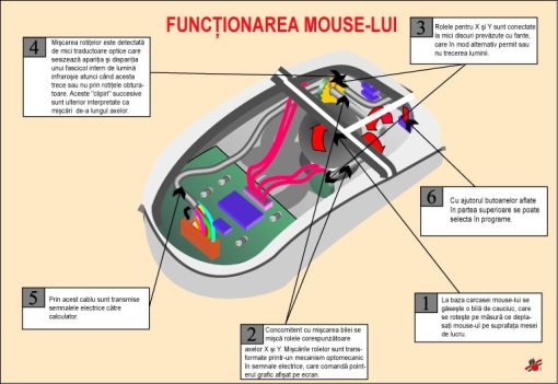 Functionarea mouse-lui 3