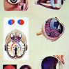 Ochiul uman - fiziologia vederii 1