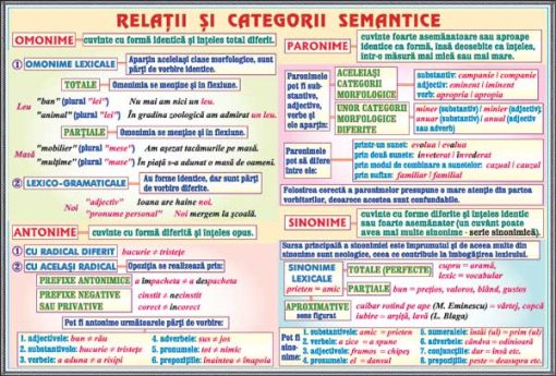 Propozitii subordonate circumstantiale (3) / Relatii si categorii semantice 4