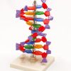 Spirala ADN 1