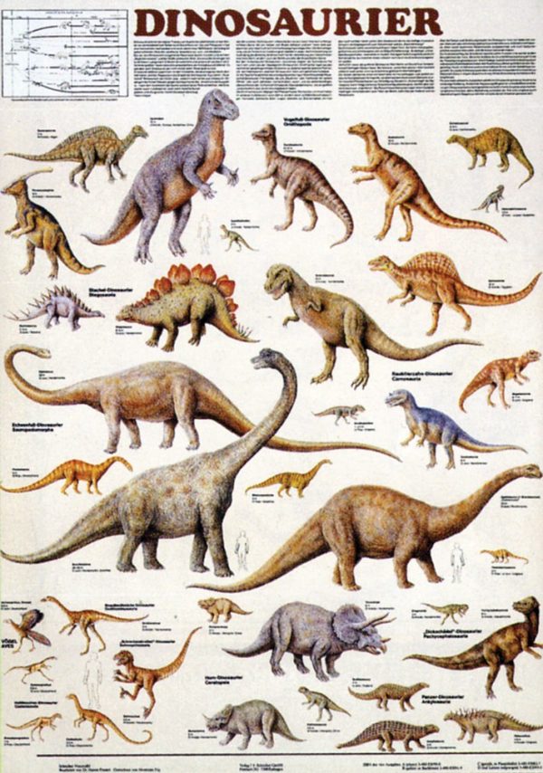 Dinozauri 3