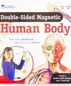 Corpul uman - set magnetic 15