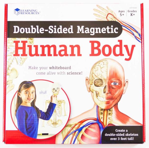 Corpul uman - set magnetic 9