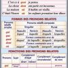 Pronoms relatifs. Formes et functions des pronoms relatifs/Le pluriel des noms.Cycle primaire 1