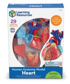 Model mic de inima asamblabil, 29 piese 10