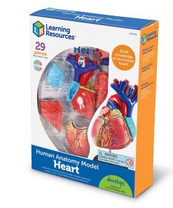 Model mic de inima asamblabil, 29 piese 11