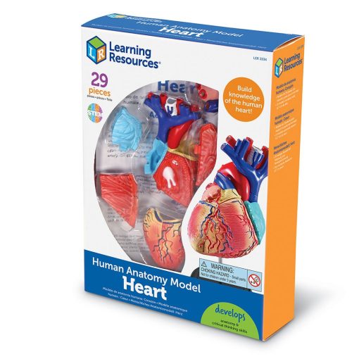 Model mic de inima asamblabil, 29 piese 7