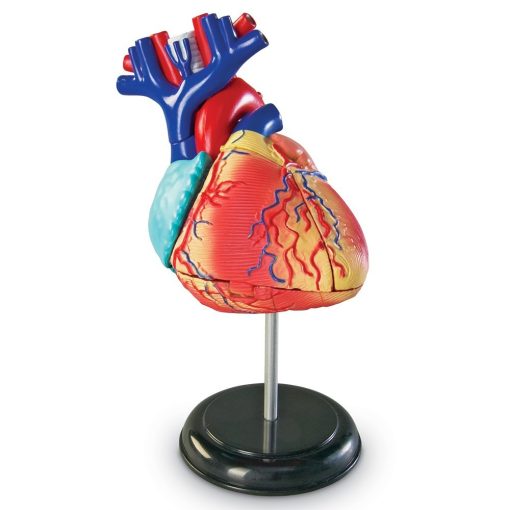 Model mic de inima asamblabil, 29 piese 3