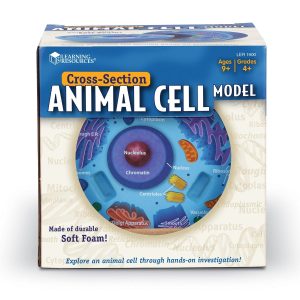Sectiunea celulei animale 11