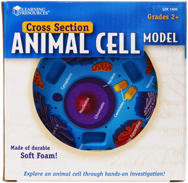 Sectiunea celulei animale 6