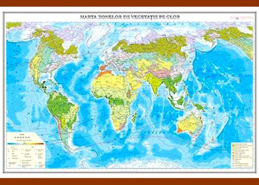Harta zonelor de vegetatie pe glob 3