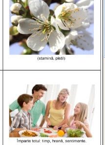 Harta matematica pentru multimi de numere 5