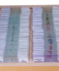 Set 100 preparate microscopice 4