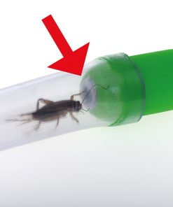 Tub colectare insecte - Pooter 5