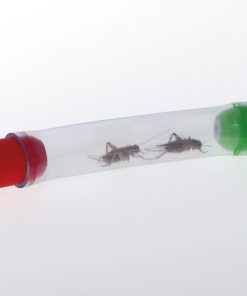 Tub colectare insecte - Pooter 4