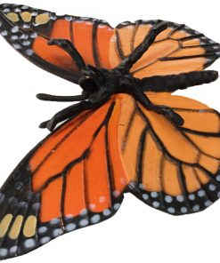 Ciclul vietii la Fluturele Monarh 9