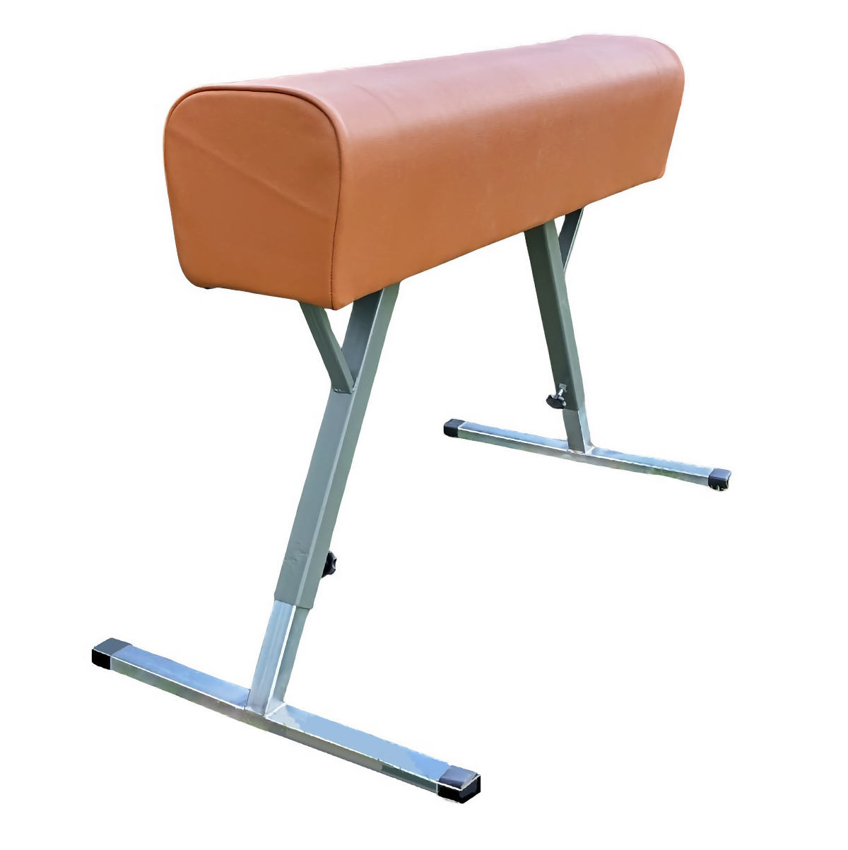Cal gimnastica piele 3 Cal gimnastica piele