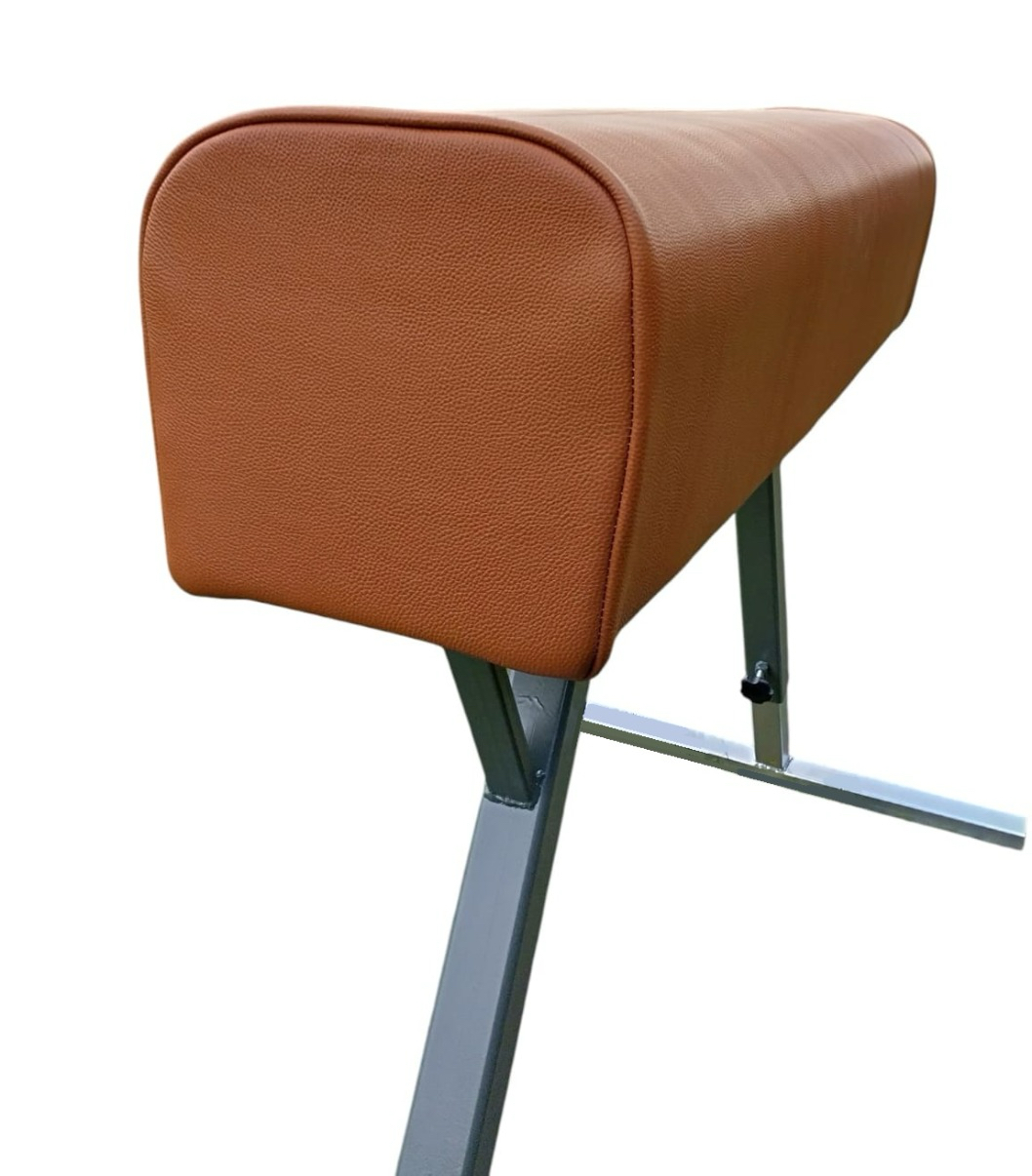 Cal gimnastica piele 5 Cal gimnastica piele - imagine 3