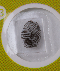 Preparate Botanica 12 specimene 8