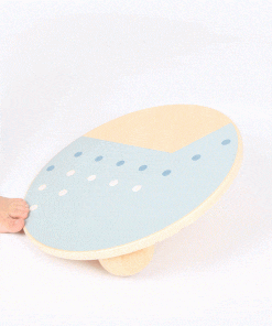 Placa de Echilibru si Balans 4