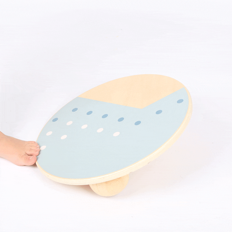 Placa de Echilibru si Balans 5 Placa de Echilibru si Balans - imagine 4