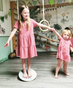 Placa de Echilibru si Balans 3