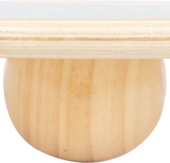 Placa de Echilibru si Balans 9