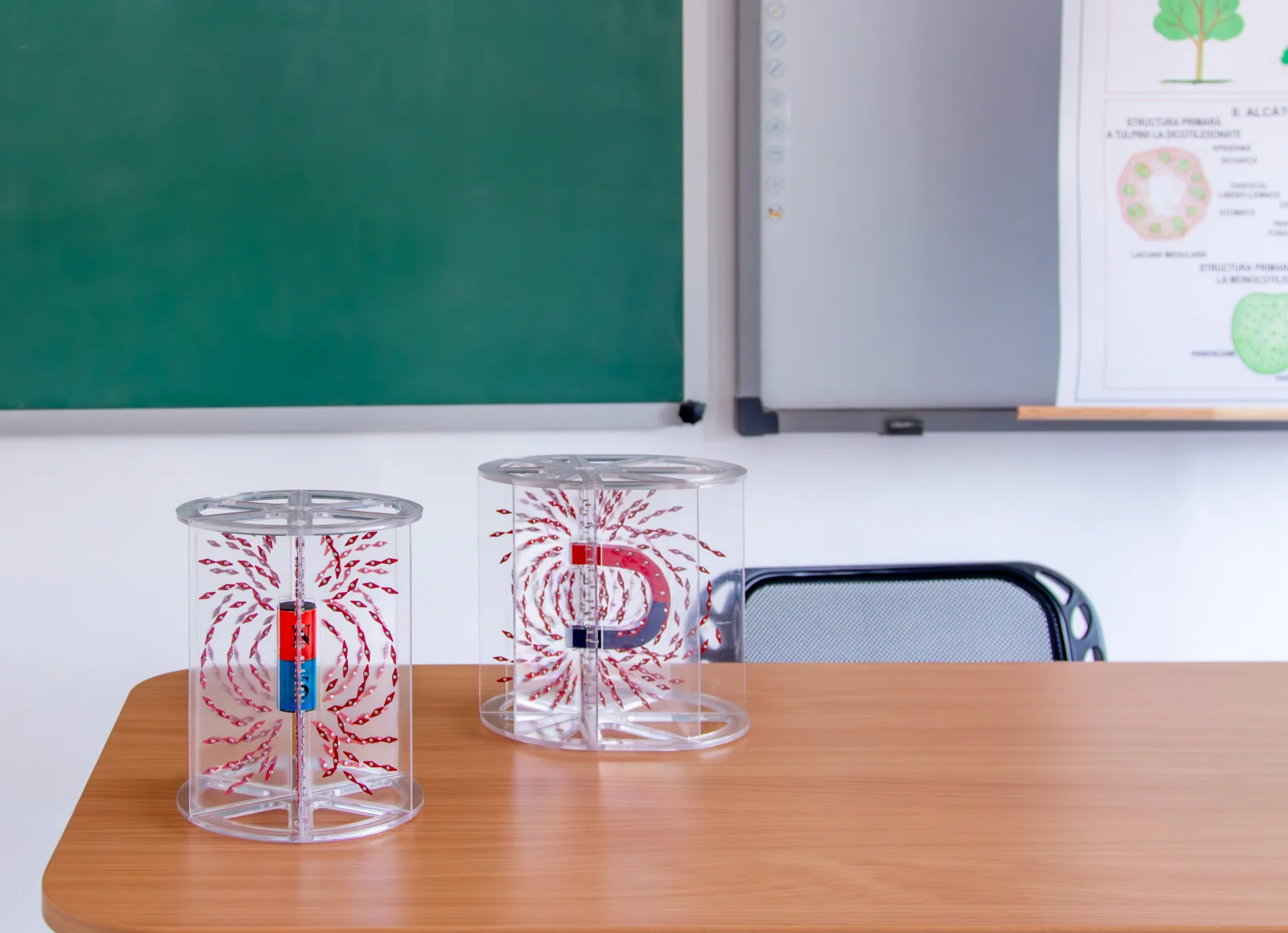 Set demonstrativ pentru vizualizarea liniilor campului magnetic 5 Set demonstrativ pentru vizualizarea liniilor campului magnetic - imagine 4